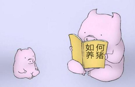 生豬禁養(yǎng)的背后，是一個個大型豬場的崛起！