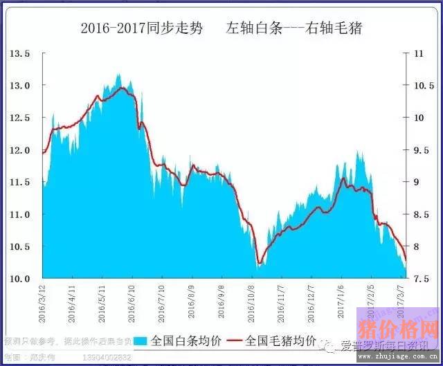 一邊白條掉價(jià)，一邊毛豬價(jià)格反彈，這是要上演鴻門宴么？