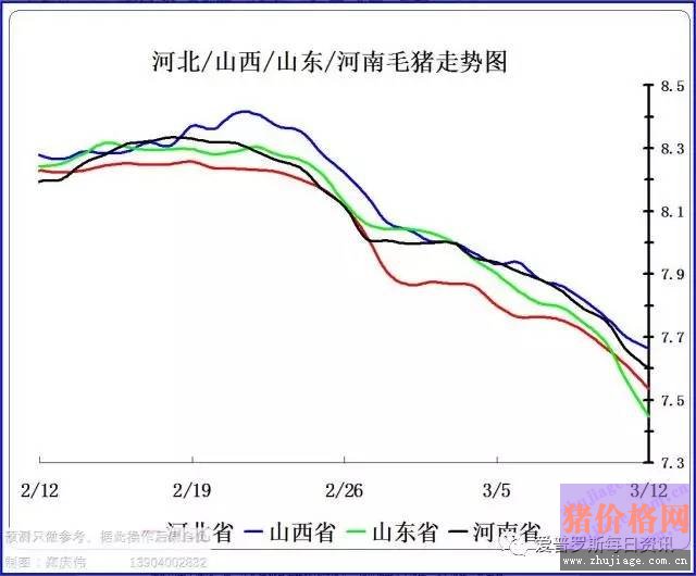 一邊白條掉價(jià)，一邊毛豬價(jià)格反彈，這是要上演鴻門宴么？