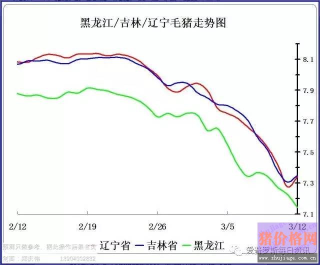 一邊白條掉價(jià)，一邊毛豬價(jià)格反彈，這是要上演鴻門宴么？
