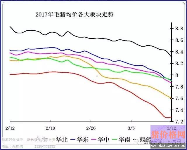 一邊白條掉價(jià)，一邊毛豬價(jià)格反彈，這是要上演鴻門宴么？
