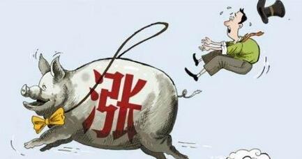 清明前豬價(jià)能漲到多少?主要看這些……