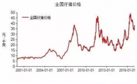 句句在理，有圖有真相！近五年生豬生產形勢分析