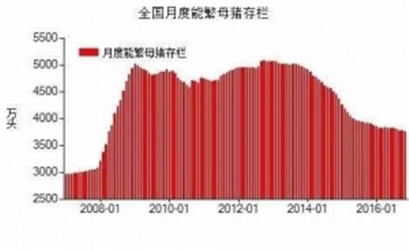 句句在理，有圖有真相！近五年生豬生產形勢分析