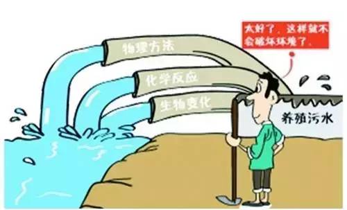 規(guī)?;B(yǎng)殖是趨勢 養(yǎng)豬場與環(huán)保之間矛盾加劇