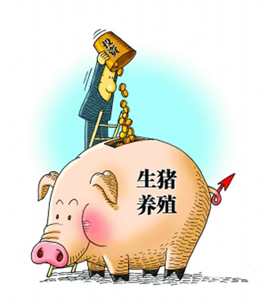 豬價下跌、成本壓縮，多面夾擊下，養(yǎng)豬人未來的希望在哪兒？