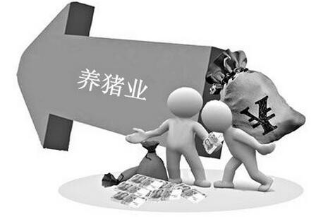 養(yǎng)豬業(yè)要發(fā)展 必須要解決這些問題......