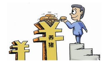 到底養(yǎng)豬能有多少利潤(rùn)空間？你計(jì)算過嗎……