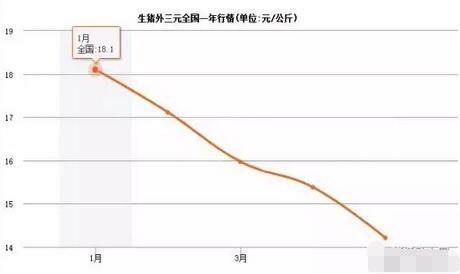 6月或現(xiàn)豬價(jià)新拐點(diǎn)，近期又有兩大好消息出現(xiàn)！