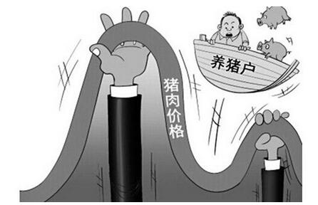 養(yǎng)豬人哭著說：豬價去年高得不正常，今年跌得不正常