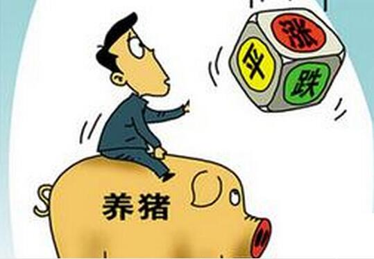 豬價(jià)上漲，想誘惑我？沒門！