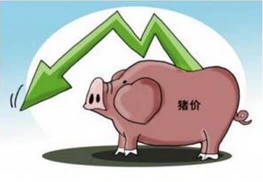 別鬧了！不好好高考，你連豬都養(yǎng)不了！
