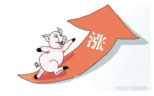 夏季豬價：此刻有多瘋狂，后面就會有多大的坑！
