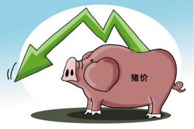 為何業(yè)內(nèi)認(rèn)為下半年豬價難有起色？