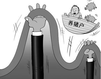 2017年豬價走勢極其反常，到底是什么原因打壓了豬市？