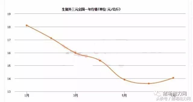 近期豬價有兩大利好因素 能繁母豬今年將存75萬缺口