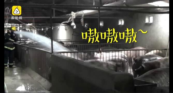 QQ截圖20170717085451.jpg