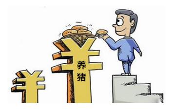 散養(yǎng)戶養(yǎng)殖有困難？這些補貼在八月發(fā)放至農(nóng)民手中