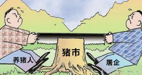 這個(gè)才是豬價(jià)下跌“真兇”？后期回升空間有多大？