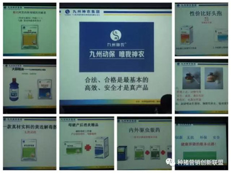 參觀考察紀(jì)實|精英薈萃聚江城 共話行業(yè)新發(fā)展