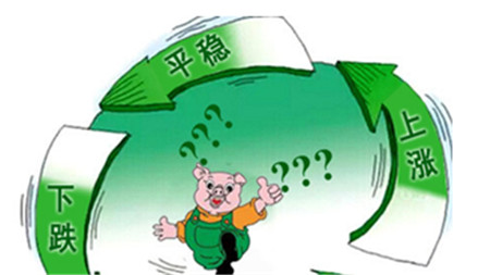 環(huán)保高壓能改變豬周期走勢(shì)嗎？