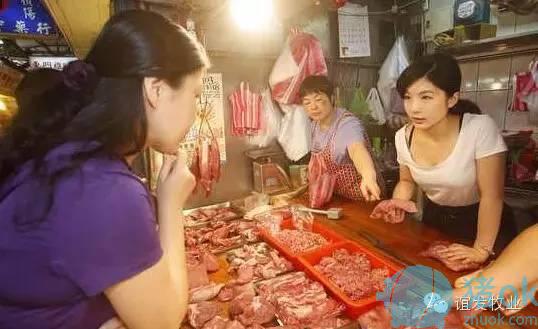 生豬養(yǎng)殖