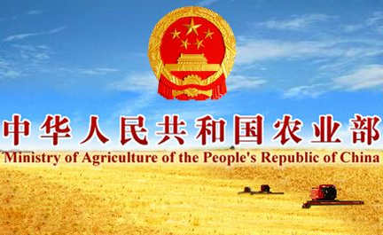 于康震:提升生豬屠宰監(jiān)管能力推進(jìn)生豬屠宰行業(yè)轉(zhuǎn)型升級