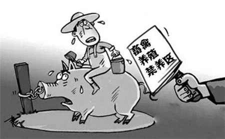 全國(guó)禁養(yǎng)區(qū)已超60萬(wàn)平方公里！還有哪里可以養(yǎng)豬？