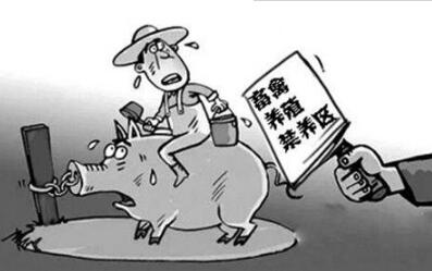 2018年養(yǎng)豬五大要素需注意，賺錢路上別被落下了