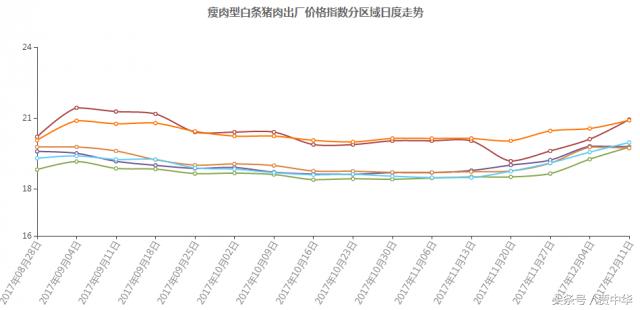 豬市分析：利好利空皆兩說，下一節(jié)點(diǎn)又在哪里