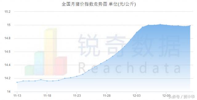 豬市分析：利好利空皆兩說，下一節(jié)點(diǎn)又在哪里
