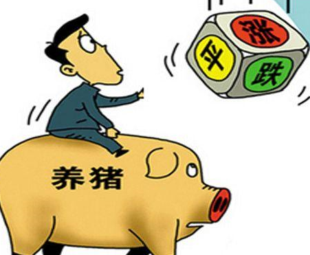 目前國內(nèi)豬價進(jìn)入了窄幅調(diào)整，各地波動不大，無論是上漲還是下跌都在0.1-0.2元的范圍內(nèi)。