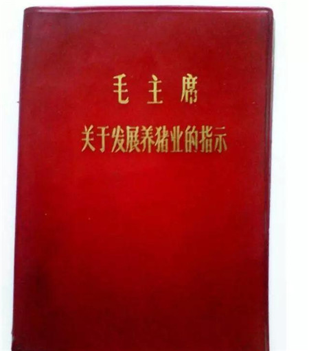 毛澤東：關(guān)于養(yǎng)豬業(yè)發(fā)展的一封信