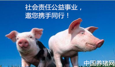 優(yōu)秀的企業(yè)總能積極的回應(yīng)時代的訴求，以促進(jìn)社會的良性發(fā)展，社會責(zé)任公益事業(yè)是大勢所趨。