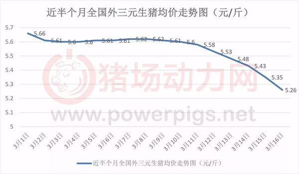 豬價虧得想退行？對此，養(yǎng)殖戶們這么說……