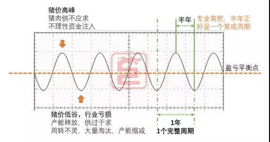 養(yǎng)豬如炒股，掌握這些，你就能價(jià)格低潮中扭虧為盈
