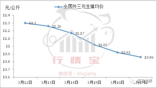 你是否已瞄上清明豬價(jià)？政府收儲(chǔ)，豬友評(píng)論竟是……