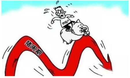 中國養(yǎng)豬網(wǎng)