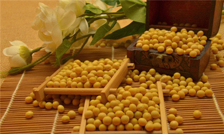 中國(guó)養(yǎng)豬網(wǎng)