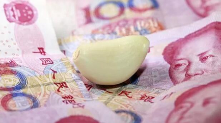 中國養(yǎng)豬網(wǎng)