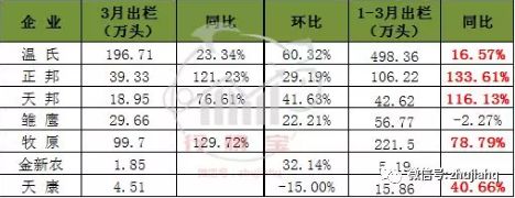 網(wǎng)3.jpg