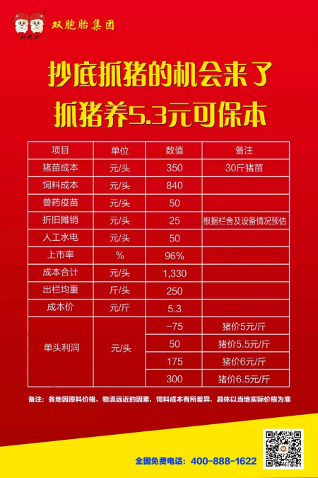 中國養(yǎng)豬網(wǎng)