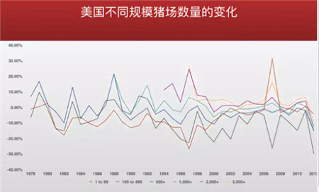 中國(guó)養(yǎng)豬網(wǎng)