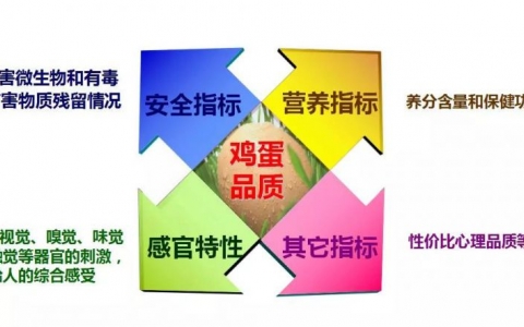 徐桂云：評(píng)價(jià)蛋品質(zhì)量的主要因素