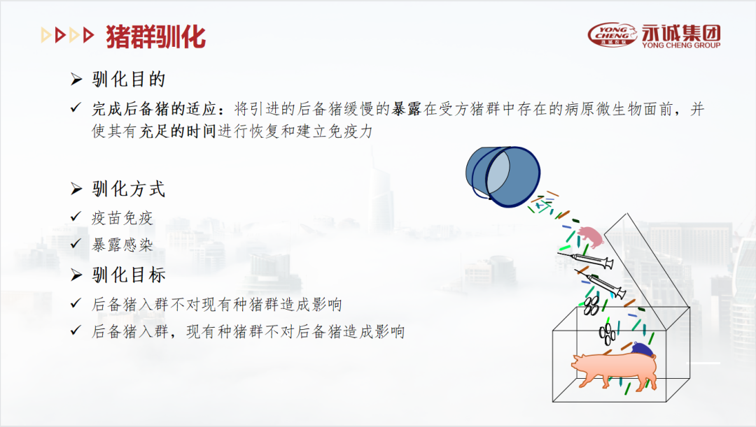 中國(guó)養(yǎng)豬網(wǎng)