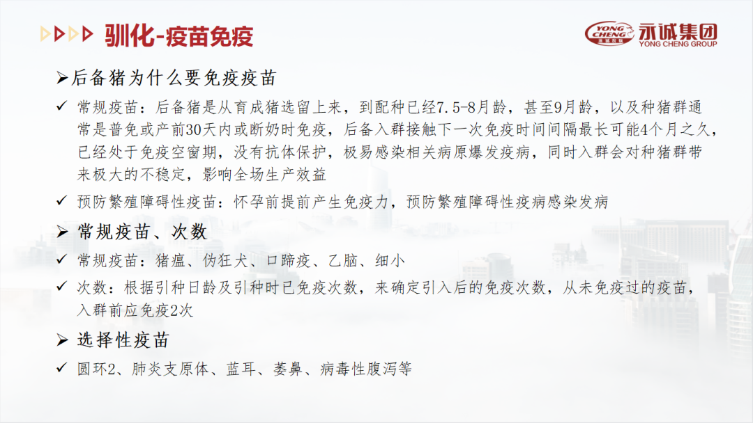 中國(guó)養(yǎng)豬網(wǎng)
